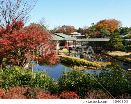 有藍天和秋葉的天鵝庭院 3040103
