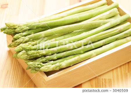 Asparagus  3040509