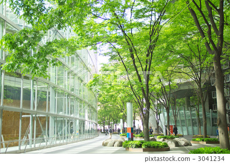 Fresh green tree and building 3041234