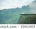 Gulls of Urvick 3041403