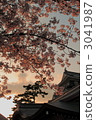 okazaki castle, castle, castles 3041987