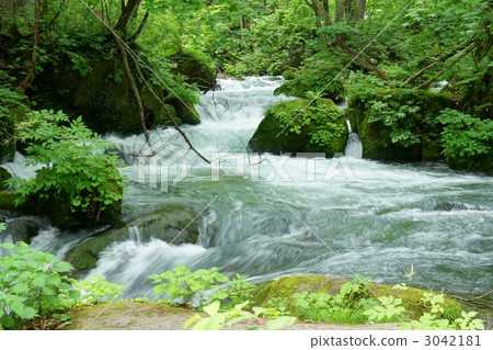 Oirase Asura的流程 3042181