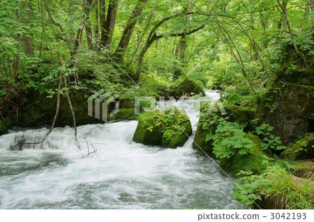 Oirase Asura的流程 3042193