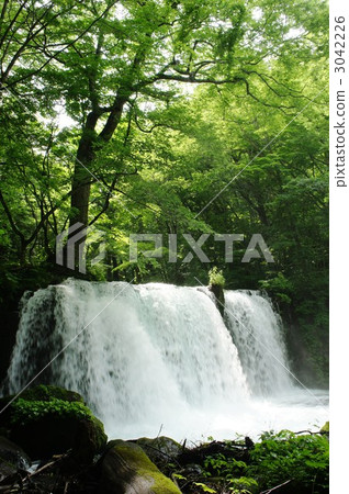 Oirase Choshi Oitaki 3042226