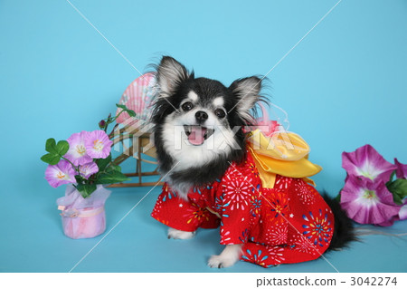 炎熱的夏季 3042274