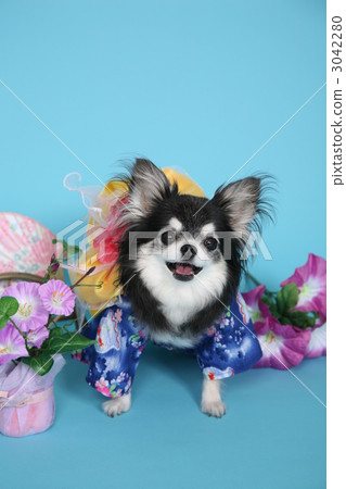 炎熱的夏季 3042280