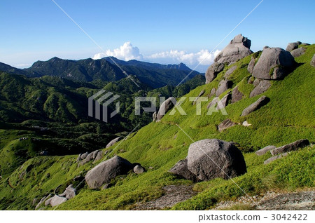 World heritage · Summer Yakushima 3042422