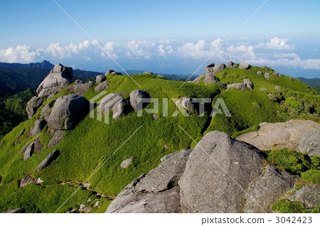 World heritage · Summer Yakushima 3042423