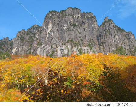 Tsubane no Miyakefei face Tsubane no Miyakefei face 3042493