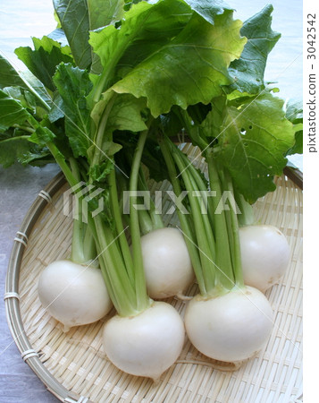 Kanamachi small cap 3042542