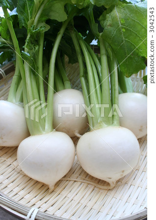 Kanamachi small cap 3042543