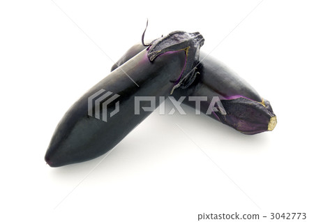 eggplant eggplant 3042773