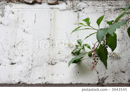 山區鄉房 3043545