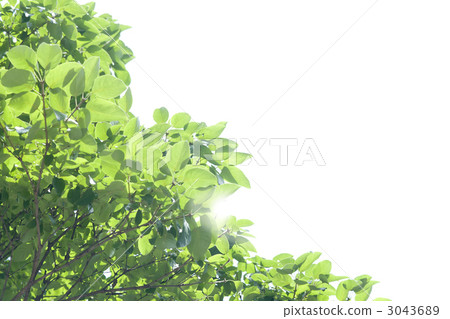 backdrop, backdrops, backgound 3043689