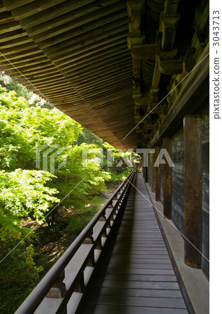 Shoshayama Engyoji Temple (Himeji City, Hyogo Prefecture) 3043713
