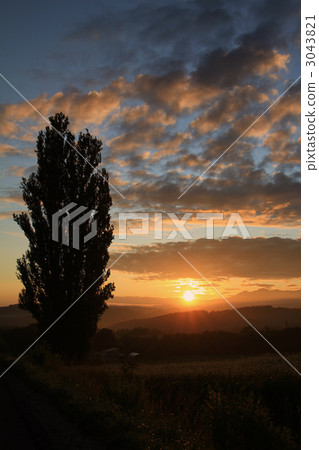 肯和瑪麗的樹和日出 3043821