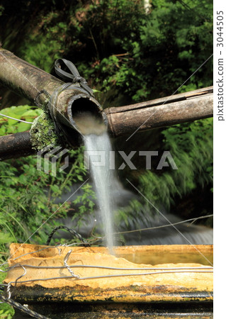 clear stream, moss, bamboo 3044505