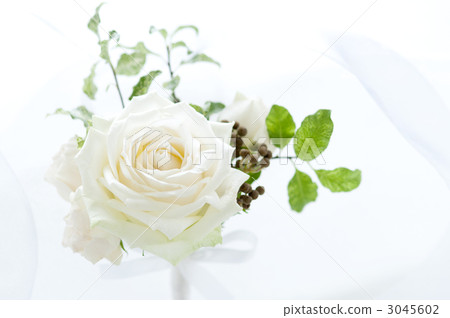 Wedding bouquet Wedding bouquet 3045602