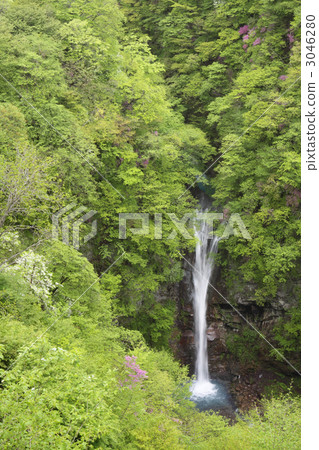 water fall, waterfall, rhododendron pentaphyllum 3046280
