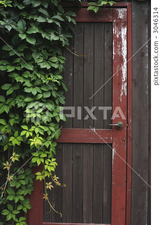 Yabugarashi and a door 3046314