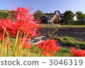 cluster amaryllis, nasu town, public facilities 3046319