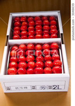 Ripe cherries 3046639