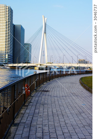 Chuo Ohashi和天空樹 3046737