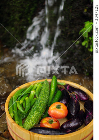 okra, plurality, fresh and youthful 3047128