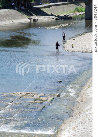 Ayu fishing in Kamogawa 3047244