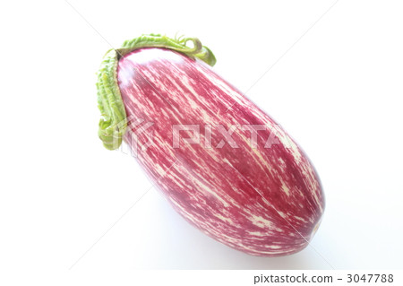 Vegetable Nasi Italian Nas Caprice 3047788