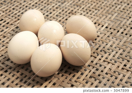 Egg basket 3047899