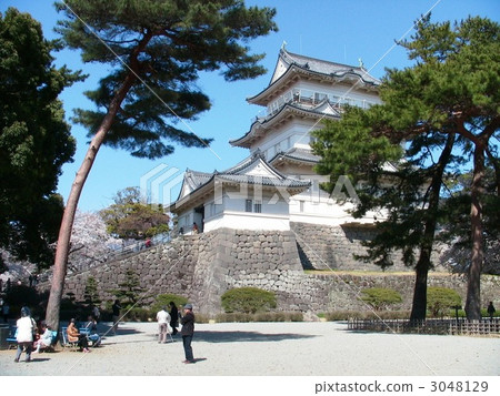 小田原城 小田原城 3048129