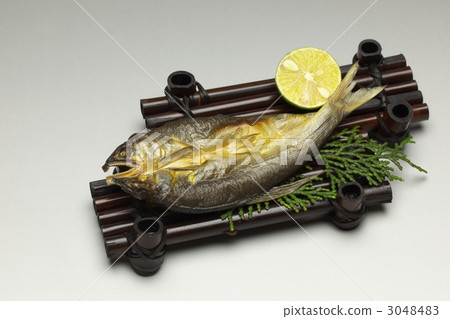 阿玉一夜之間乾了 3048483