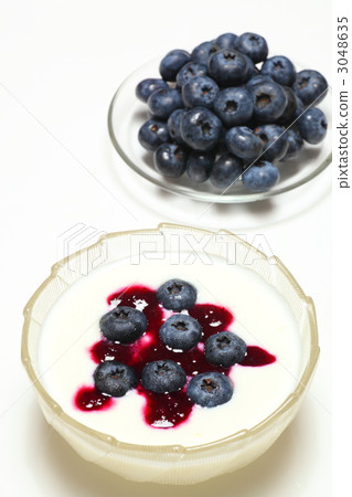 Blueberry Yogurt 3048635