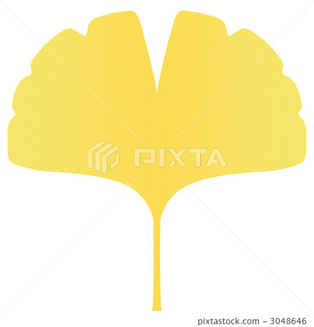 Ginkgo biloba Ginkgo biloba 3048646