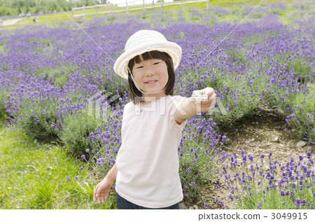 Butterfly and girls 3049915