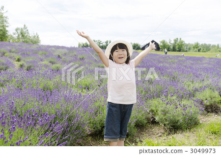 Lavender and girls 3049973