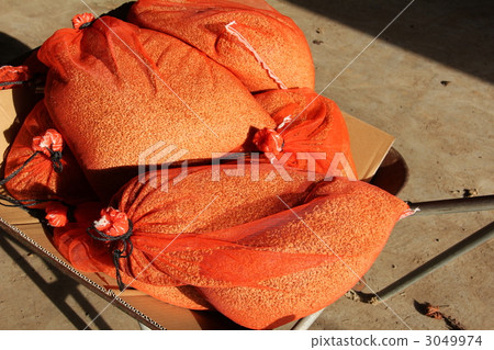 Prepare for sowing Prepare for sowing 3049974