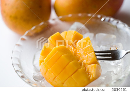 mango, mangoes, summer fruit 3050361