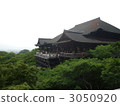 Temple 3050920