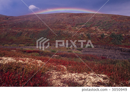 自治的苔原和紅色彩虹小山 3050949