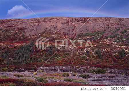 自治的苔原和紅色彩虹小山 3050951
