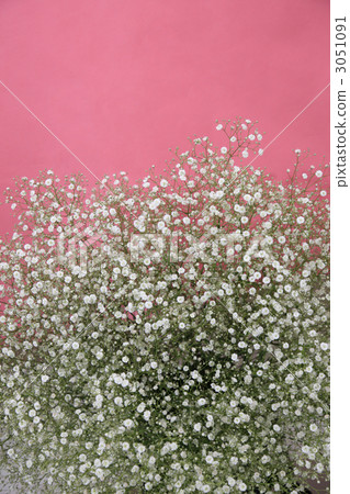 很朦朧的樣子 3051091