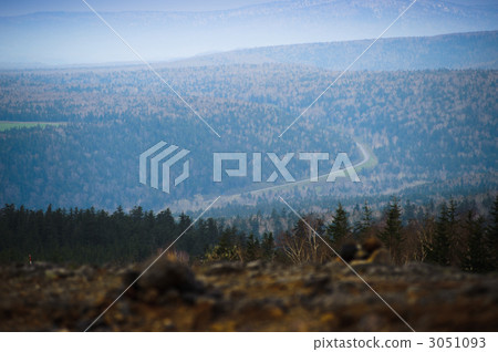 Hatchout Hatchout 3051093