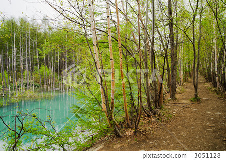 A blue pond and a walking trail 3051128
