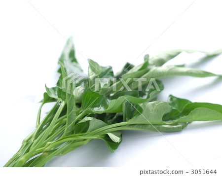 Aerial greens Aerial greens 3051644