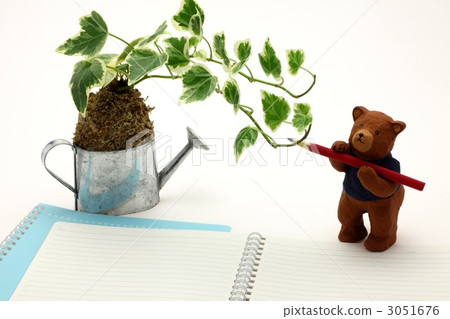 Notes and bears 3051676