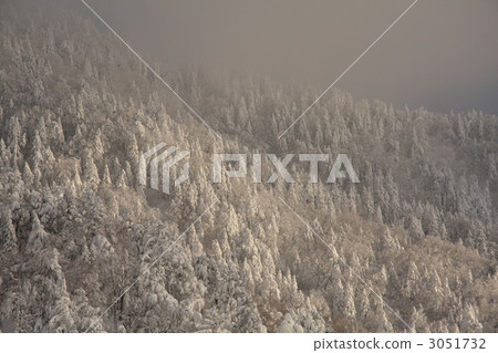 frost covered tree, frost-covered tree, snow mountain 3051732