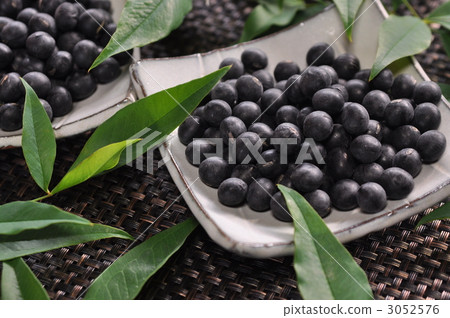 Tamba Sasayama black bean 3052576