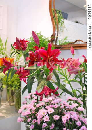 Lily of pink and chrysanthemum 3054515